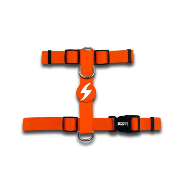 Dashi Peitoral Back-Harness Laranja M