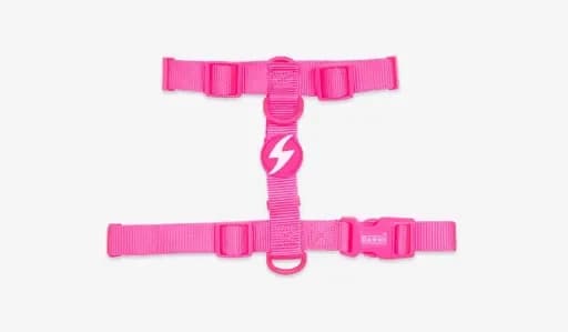 Dashi Arnês Neon Rosa XS