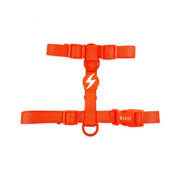 Dashi Arnês Neon Laranja M