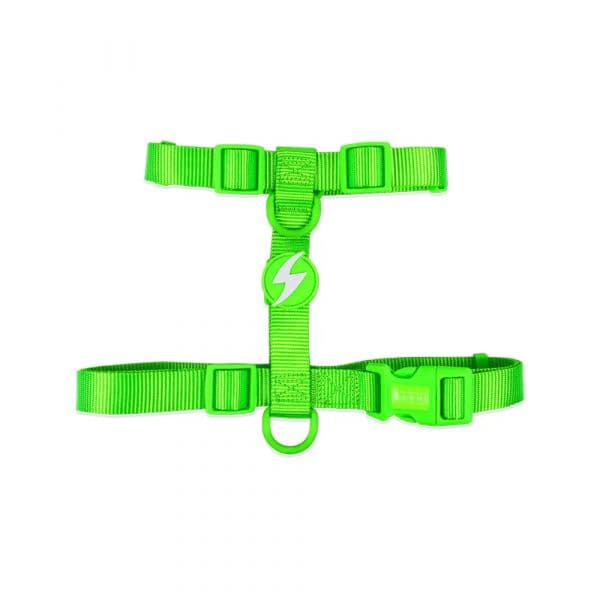 Dashi Arnês Neon Verde Lima S