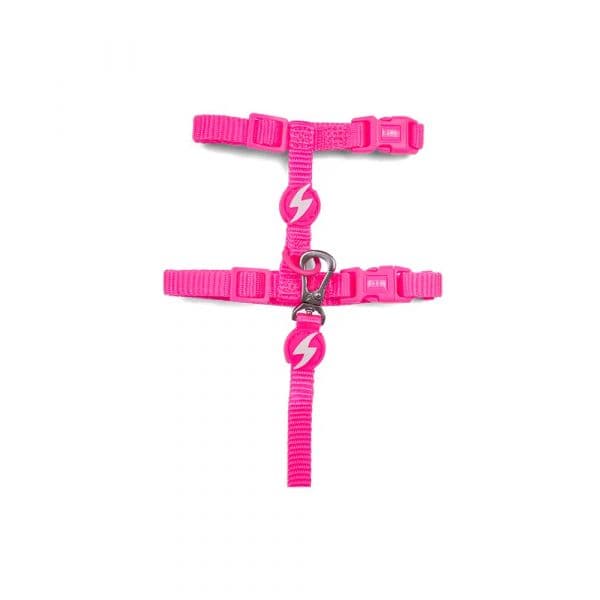 Dashi Arnês + Trela Neon para Gatos Rosa