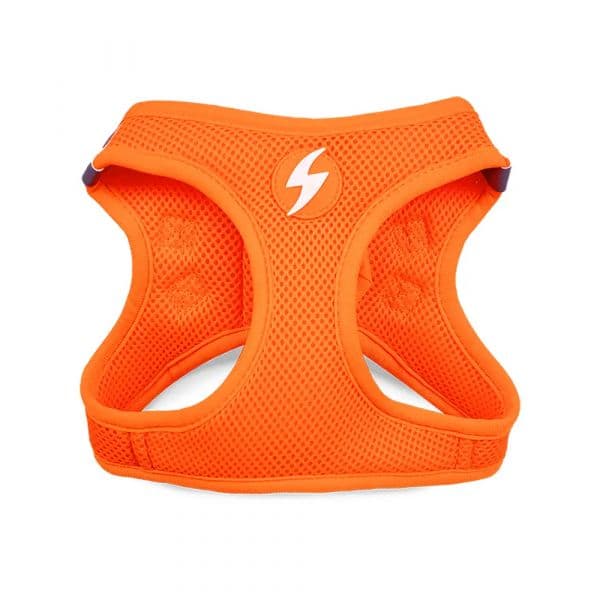 Dashi Oxy Mesh Neon Laranja XXL