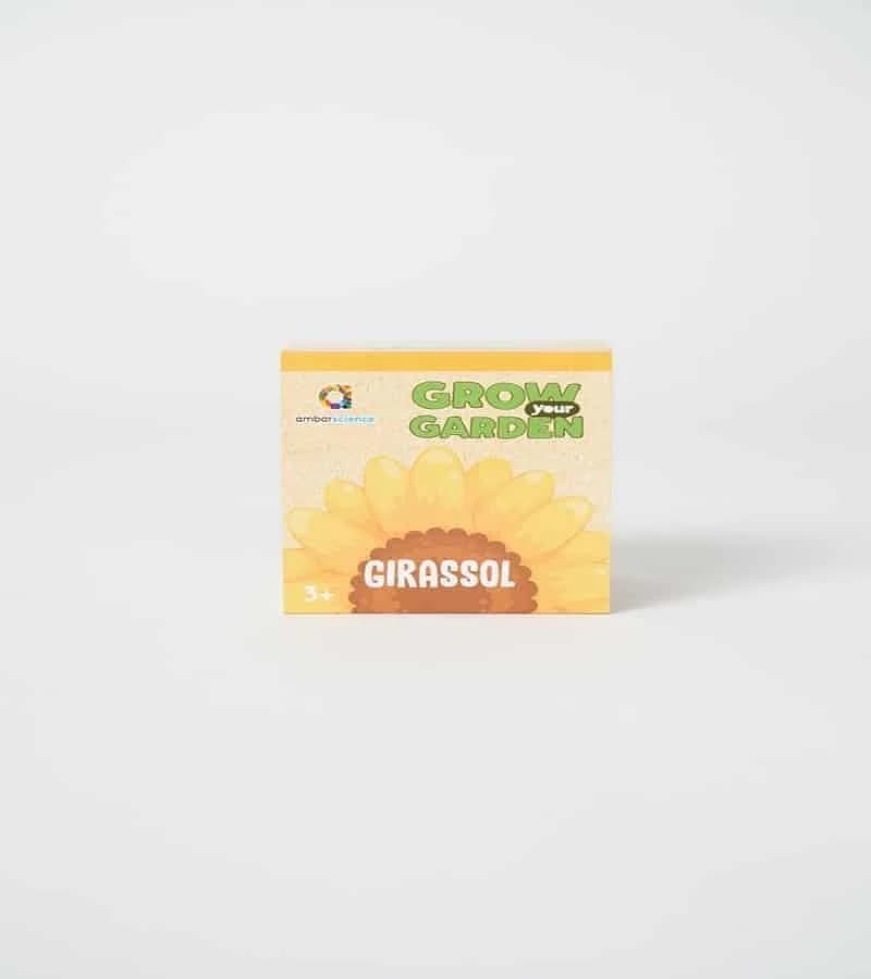 AmbarScience Grow your Garden Girassóis