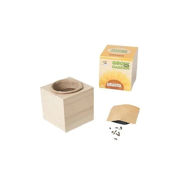 AmbarScience Grow your Garden Girassóis