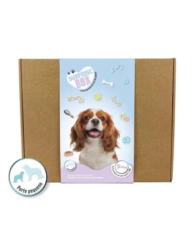 Trixie Surprise Box Cão (Porte Pequeno/Médio)