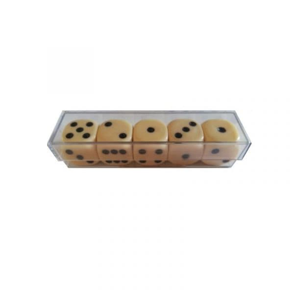 Conjunto de Dados D6