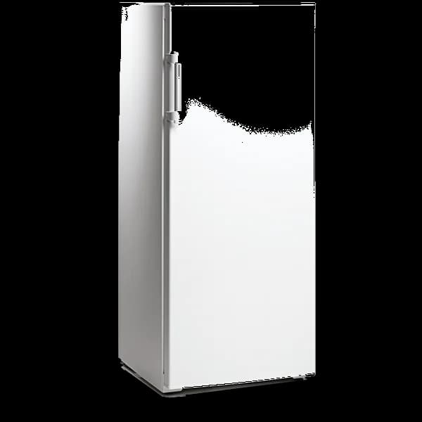 Arca Vertical Starlux SXCV300S 216L Classe E