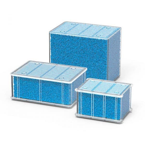 Aquatlantis Tecatlantis Recarga Filtros EasyBox Esponja Fina S