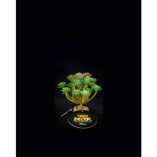 Aquatlantis Terra Decor Planta Mini Aloe 10 cm