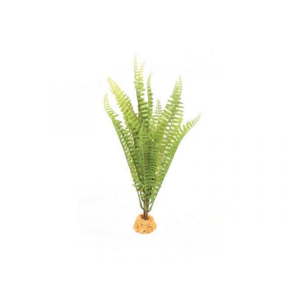 Terrarium Terratlantis Terra Decor Planta Aloe 36 cm