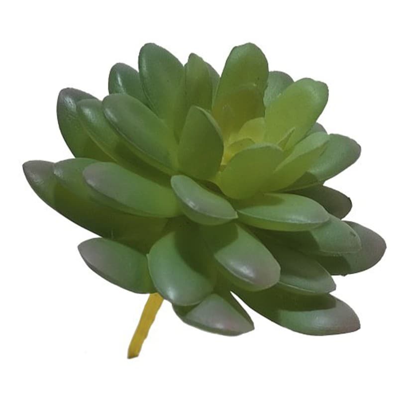 Produto sem titulo
