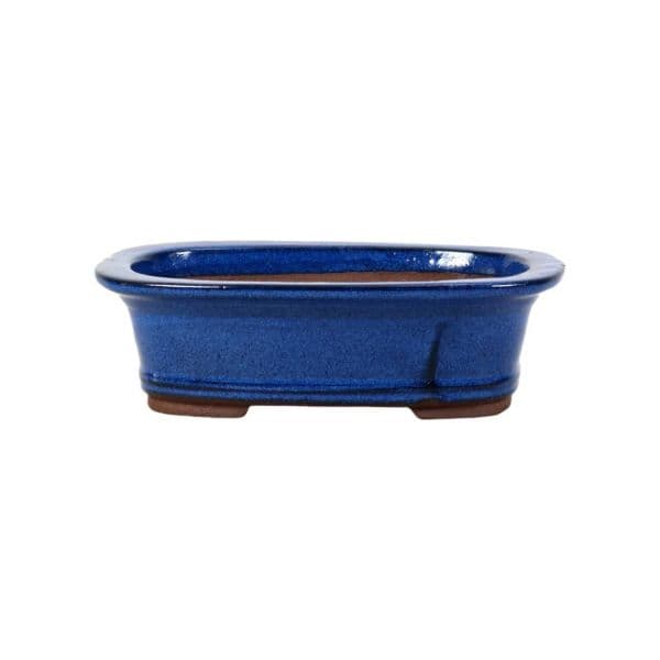 Luso Bonsai Vaso de Bonsai Oval 30*21*10 cm Azul - Yixing - 06639