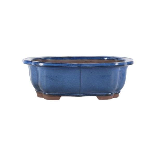 Luso Bonsai Vaso de Bonsai Oval 31*25*10 cm Azul - Yixing - 06640