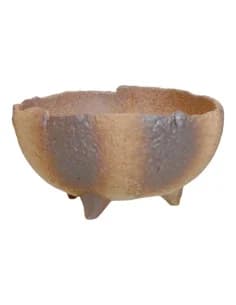Pot of Bonsai Mame – Kusamono 11*11*5.5 cm – Japan