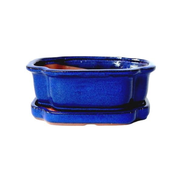 Luso Bonsai Vaso de Bonsai Oval + Prato 30*24,5*9 cm Azul - Yixing - 80072