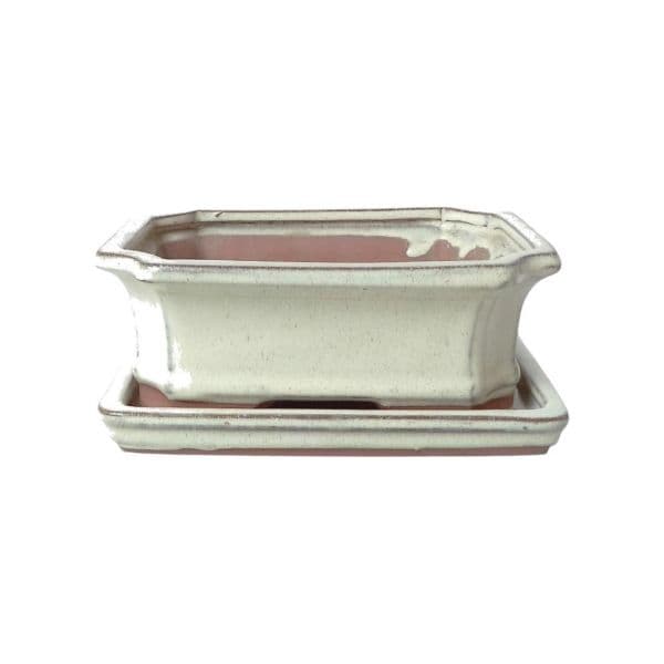 Luso Bonsai Vaso de Bonsai Rectangular + Prato 30,5*23*10,5 cm Creme - Yixing - 81443