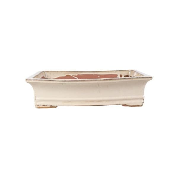 Luso Bonsai Vaso de Bonsai Rectangular 45*36*11,5 cm Creme - Yixing - 83883