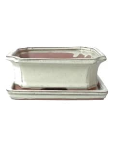 Pot of Bonsai Rectangular + Saucer 15*12*5.5 cm Cream - Yixing