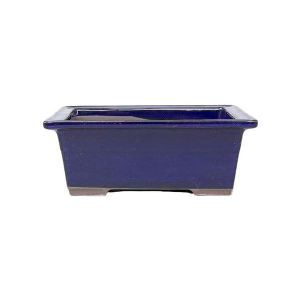Luso Bonsai Vaso de Bonsai Rectangular 21,5*17,5*7,5 cm Azul - Japão - 84242