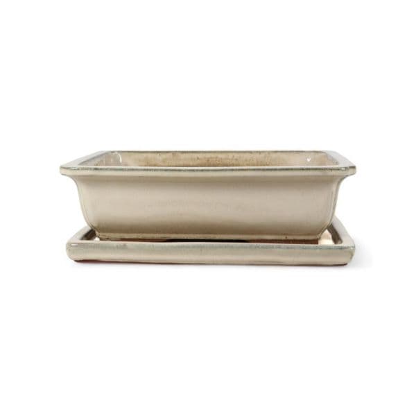Luso Bonsai Vaso de Bonsai Rectangular + Prato 35*27*10 cm Creme - Yixing - 85053