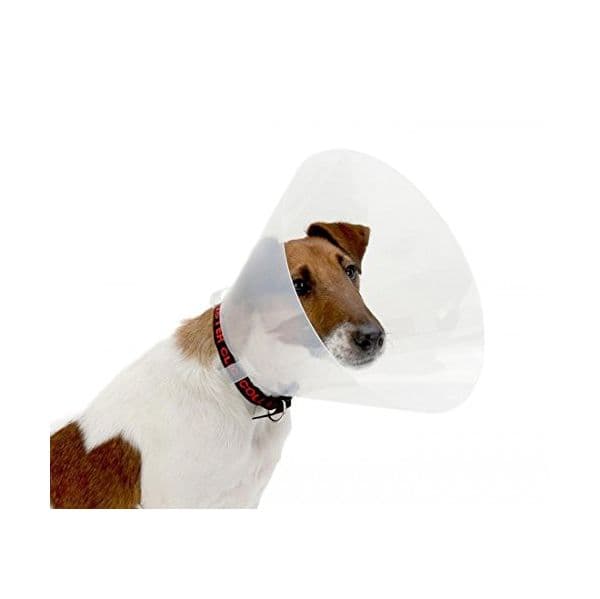 Buster Colar Isabelino Opaco 20cm