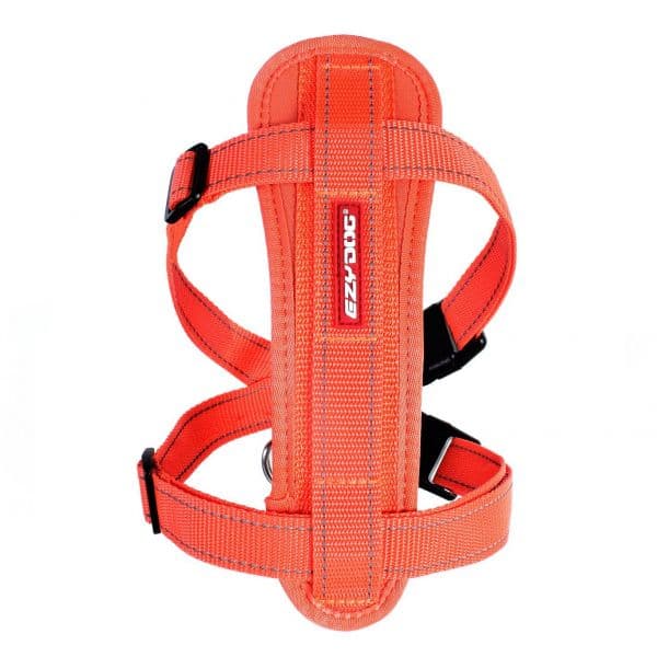 EzyDog Peitoral Chest Plate Laranja M