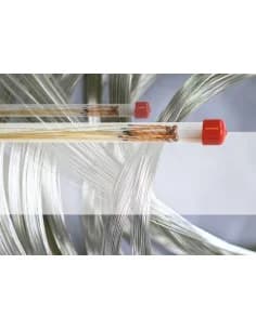Strings For Viola Aurora