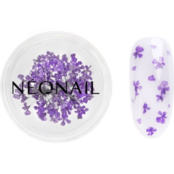 Neonail Dried Flowers Flores Secas para Unhas Tom 06 Violet 1 Unidade