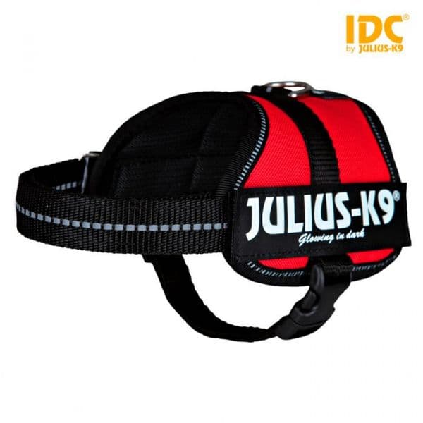 Julius-K9 Peitoral Vermelho (baby 2/xs-s) 33-45 Cm