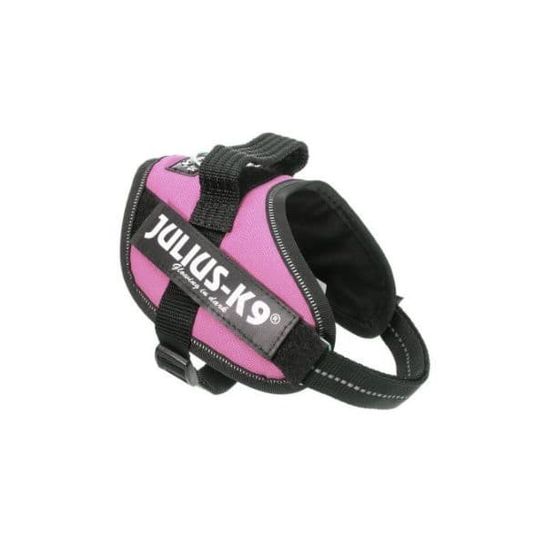 Julius-K9 Peitoral Power IDC Mini M 49-67cm / 22mm - 16IDC-PN-M