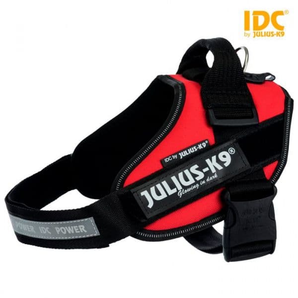 Julius-K9 Peitoral Power IDC 3/XL-XXL 82-115cm / 50mm - 14873