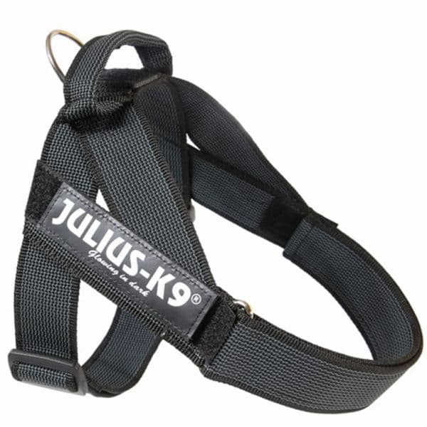 Julius-K9 Peitoral Color & Gray Tamanho 1 L 16501-IDC-2015