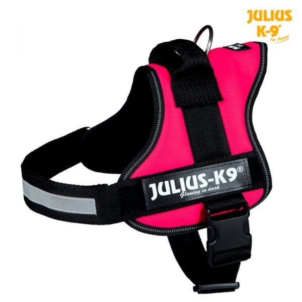 Julius-K9 Peitoral M / L (0/m-l) 58-76 Cm (fuchsia)