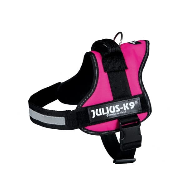 Julius-K9 Peitoral M (mini/m) 51-67cm Fuchsia
