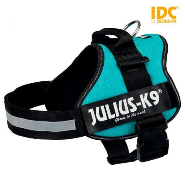 Julius-K9 Peitoral L - XL (2/l-xl) 71-96 Cm (turquesa)