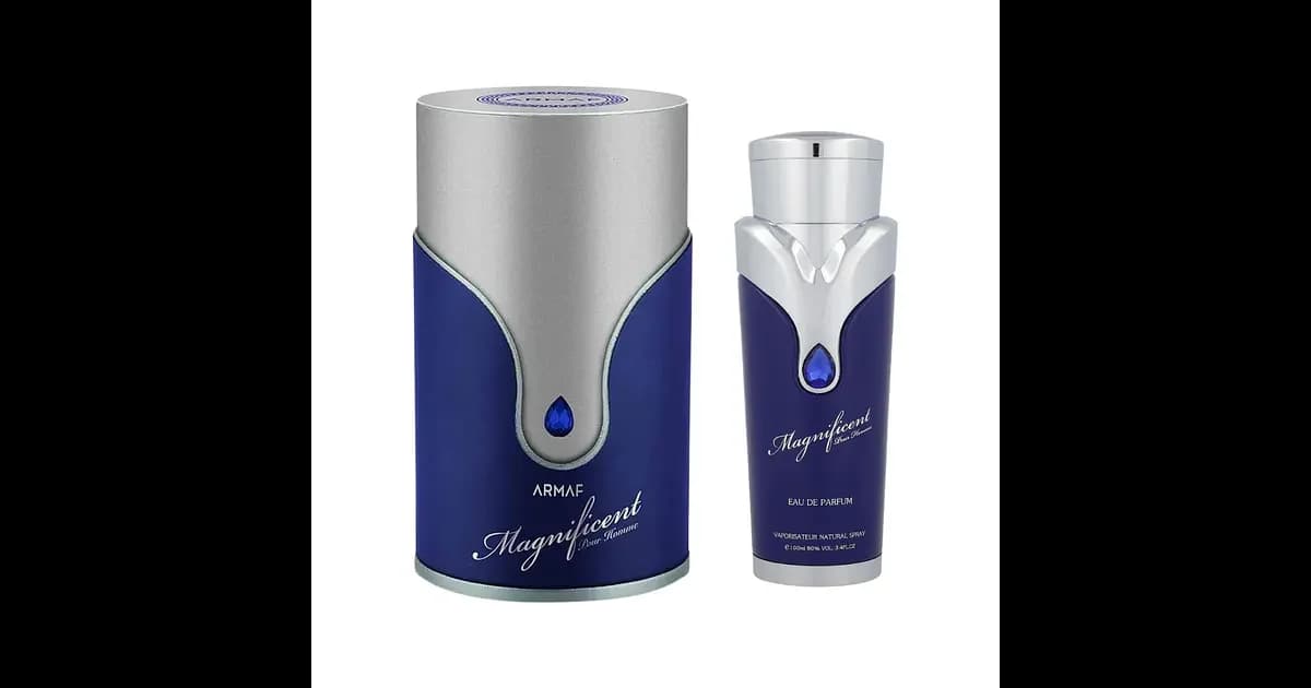 Armaf Magnificent Blue Pour Homme Eau de Parfum 100ml (Original)