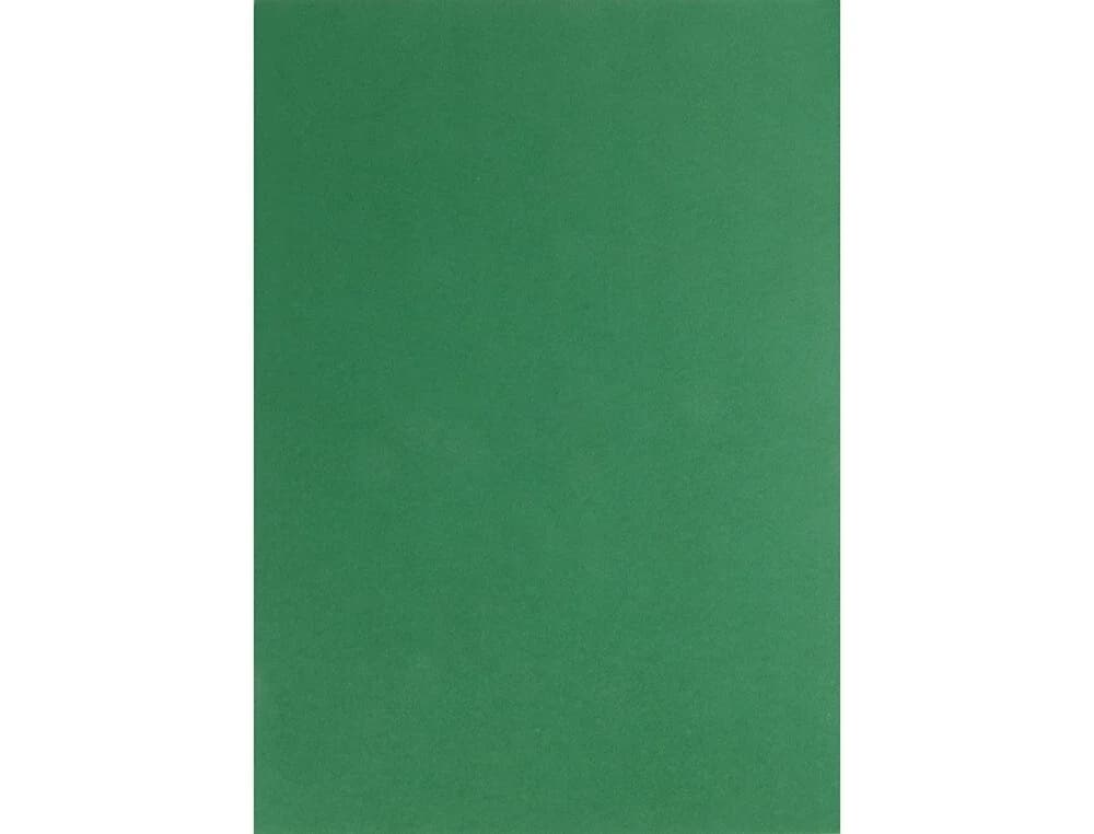 LiderPapel 100 Fls Cartolina A4 180g/mì Verde Abeto - CT15