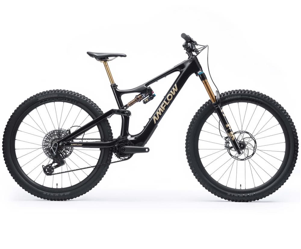 BICICLETA ELETRICA MTB 29 AMFLOW  PL CARBON PRO (800WH) M