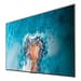 Hisense 100DM66E ecrã de sinalização Plasma digital 2,54 m (100") LED Wi-Fi 500 cd/m² 4K Ultra HD Preto Processador built-in Android 11 24/7