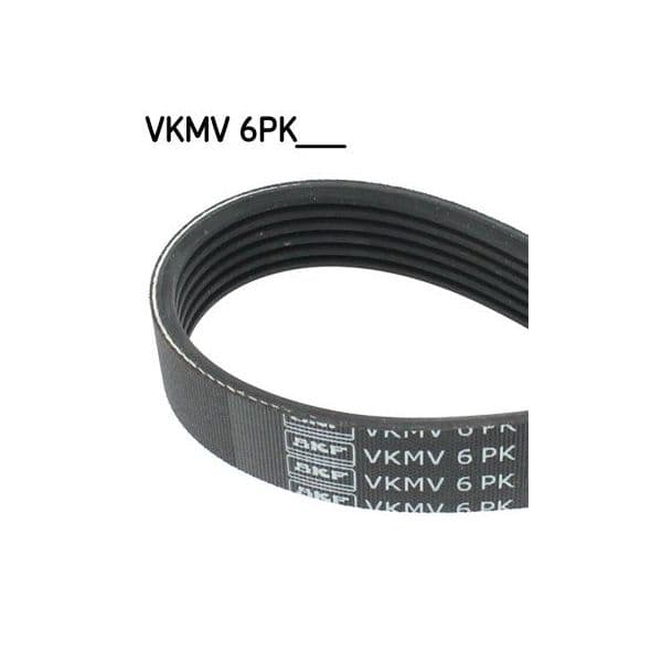 Skf Correia Trapezoidal Estriada Vkmv 6PK1015 7316574073764