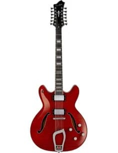 Hagstrom VIKING DLX 12 WCT