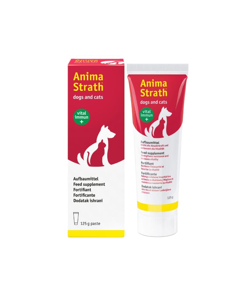 Anima Strath Pasta 125gr Fortificante para Cães e Gatos