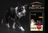 Pro Plan Light Sterilised Frango Ração para Cão - Campet