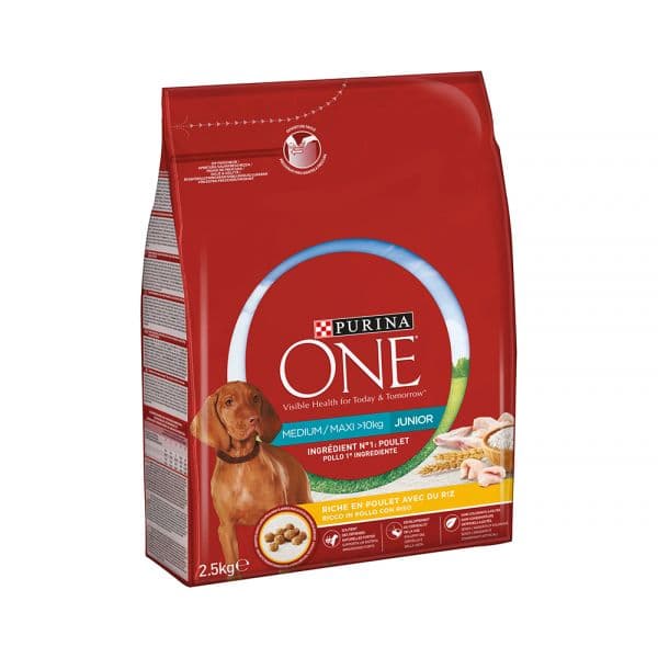 Purina One Júnior Frango 2,5Kg