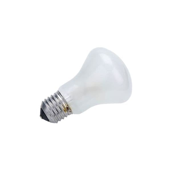 Elinchrom Lâmpada pilote 100W E27-196V