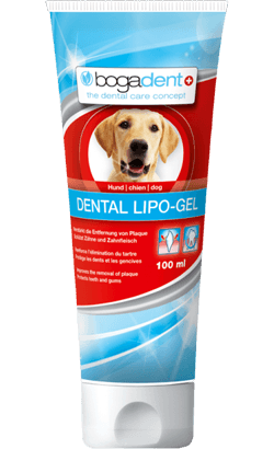 Bogar Bogadent Dental Lipo Gel Cão 100ml