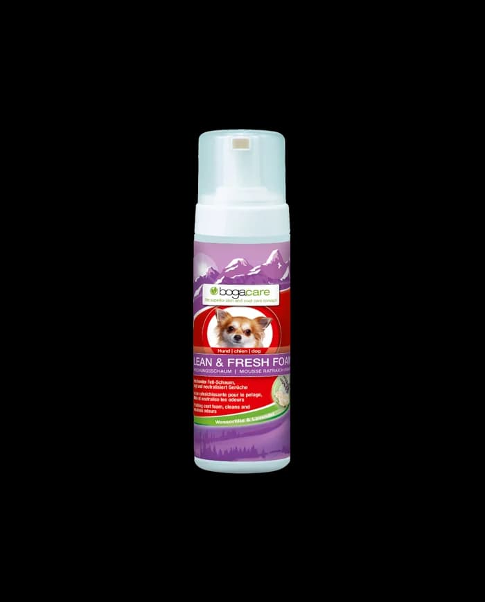 Bogar Bogacare Shampoo Seco Espuma 150ml