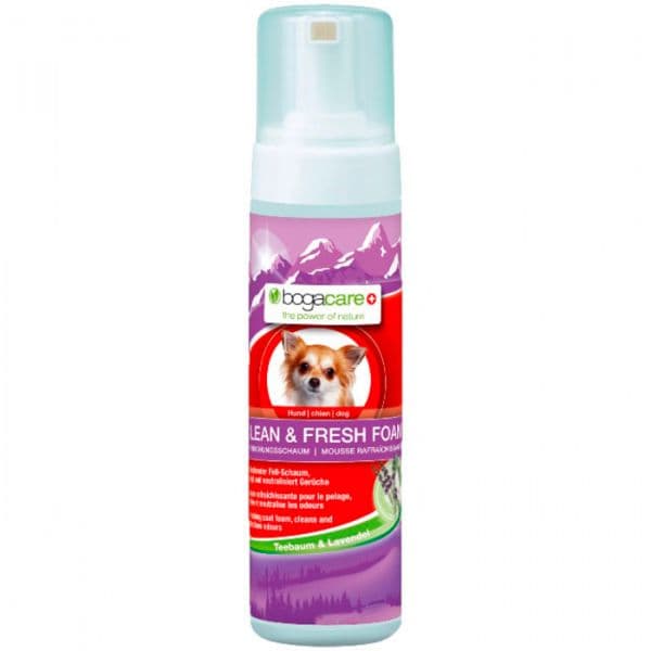 Bogar Bogacare Shampoo Seco Espuma 150ml