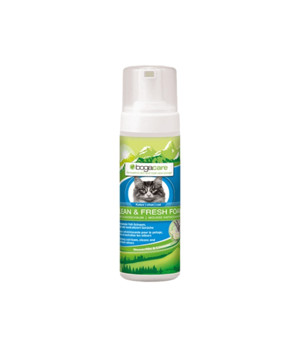 Bogar Bogacare Shampoo Seco Espuma Gato 150ml