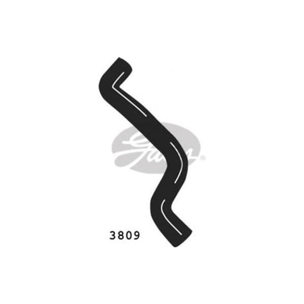 Gates 3809 - Tubo flexível do radiador - 7894758062808